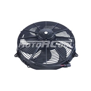 RC-U01338 (16
