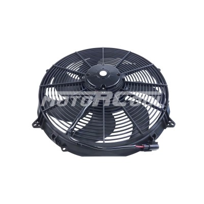 RC-U01338 (16
