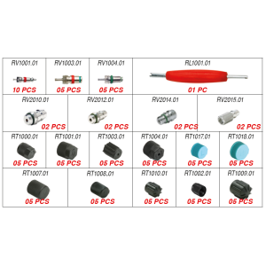 Набор для автокондиционера Errecom RK1060 (золотники, порты, колпачки), запаные части