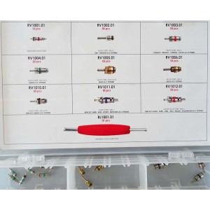 Набор для автокондиционера Errecom RK1331 (золотники, 9 видов), запаные части